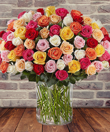 100 Multi-Colored Roses