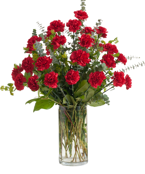 Carnation Vased Tribute - Color Selection Available