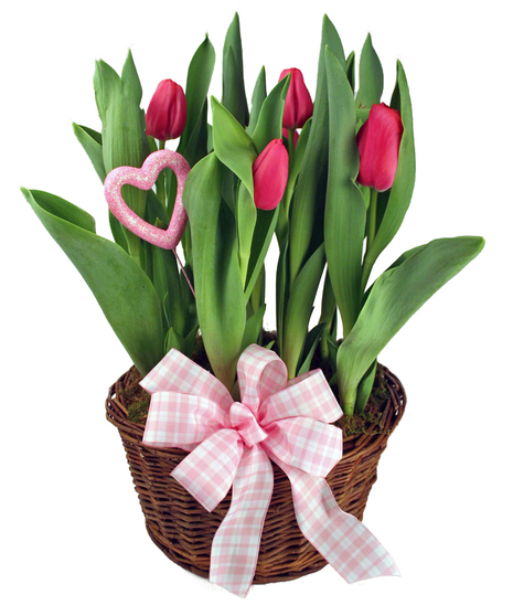 Spring Tulip Basket