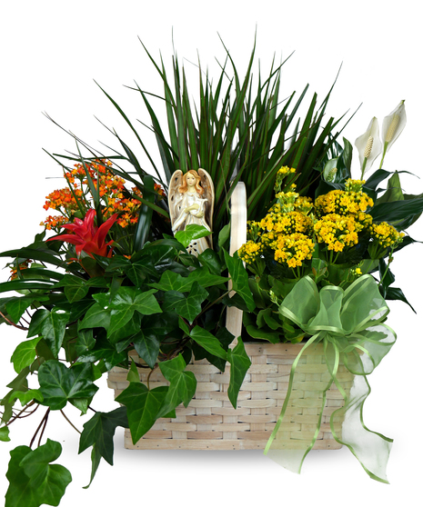 The image showcases a blend of long-lasting green plants and brightly colored blooming plants, arranged beautifully in a wicker basket.